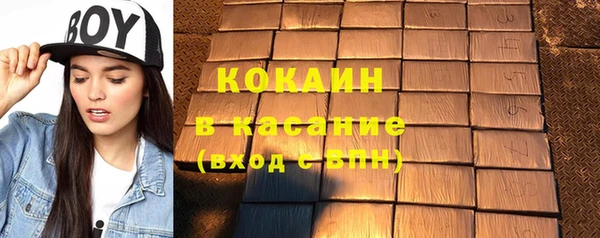 крисы Абаза