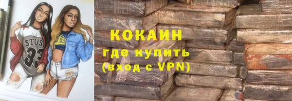 крисы Абаза