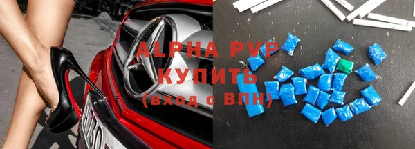 СК Новозыбков