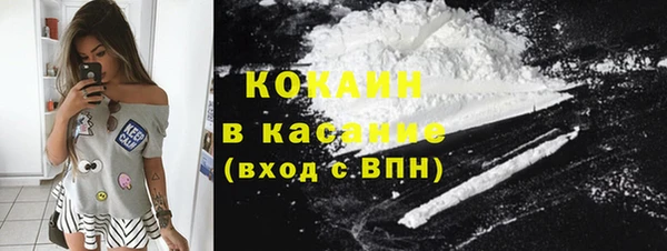 крисы Абаза