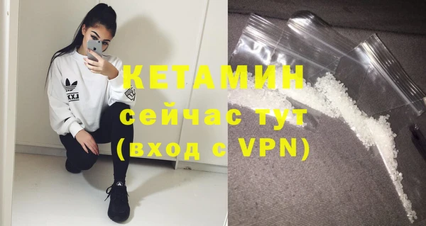 крисы Абаза