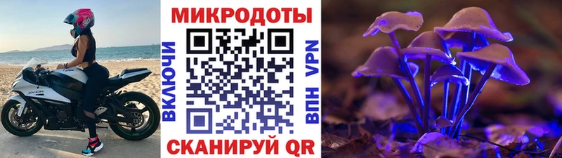 купить наркоту  Вилючинск  Галлюциногенные грибы мухоморы 